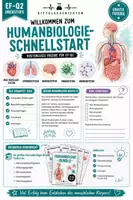 Vorschau - Stundenentwürfe - Humanbiologie Schnellstart-Gratis Freebie für die Oberstufe (EF-Q2) - Seite 1