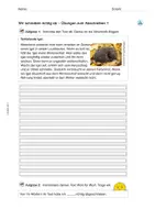 Vorschau - Arbeitsblätter - Arbeitsblätter: Abschreibübungen zum Thema „Igel“ - Seite 3