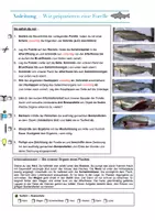 Vorschau - Arbeitsblätter - „Wir präparieren einen Fisch und bestimmen zentrale innere Orange.“ - Deckblatt