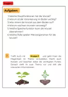 Vorschau - Arbeitsblätter - Pflanzenorgane Gruppenarbeit: Wurzel, Stängel & Blatt Blüte - Seite 2