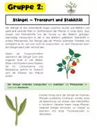 Vorschau - Arbeitsblätter - Pflanzenorgane Gruppenarbeit: Wurzel, Stängel & Blatt Blüte - Seite 3