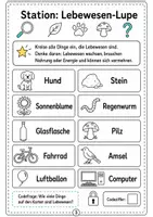 Vorschau - Spiele - Biologie Klasse 5/6 Escape Room – Forscherlabor - Seite 3