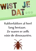 Voorbeeld - Wist je dat... (thema dieren) - Pagina 1