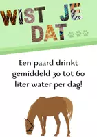 Voorbeeld - Wist je dat... (thema dieren) - Pagina 2