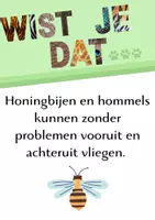Voorbeeld - Wist je dat... (thema dieren) - Pagina 3