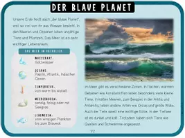 Vorschau - Unterrichtsreihen - Meerestiere Forscherheft & Wissenskartei Sachunterricht - Seite 2