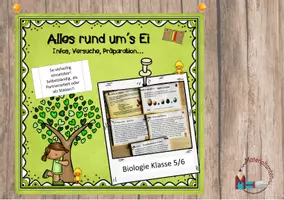 Vorschau - Stundenentwürfe - Materialpaket: Vogel - Seite 2