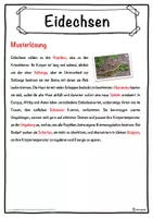 Vorschau - Unterrichtsreihen - Eidechsen Lückentext mit Wortspeicher Hörverstehen und Suchsel - Seite 2