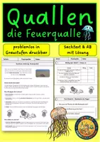 Vorschau - Arbeitsblätter - Quallen | Feuerquallen | Sachtext, Arbeitsblatt mit Lösung - Klasse 3-5 - Deckblatt