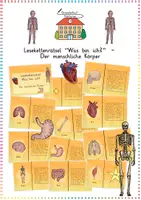Vorschau - Spiele - Körper & Organe: Lesekettenrätsel "Was bin ich?" (Klassenspiel) - Sachunterricht - Kl. 3/4 - Deckblatt