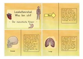 Vorschau - Spiele - Körper & Organe: Lesekettenrätsel "Was bin ich?" (Klassenspiel) - Sachunterricht - Kl. 3/4 - Seite 2