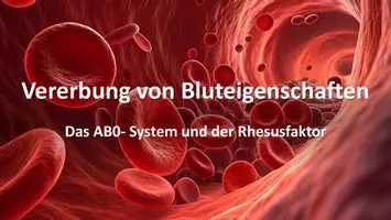 Vorschau - Stundenentwürfe - Blutgruppen, AB0- System, Rhesusfaktor, Vererbung, Stammbäume - Seite 2