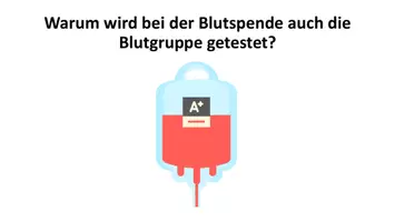 Vorschau - Stundenentwürfe - Blutgruppen, AB0- System, Rhesusfaktor, Vererbung, Stammbäume - Seite 3