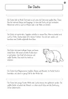 Vorschau - Arbeitsblätter - 3-fach differenzierte Lese-Arbeitsblätter "Der Dachs" - Seite 2
