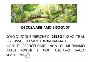 anteprima - Schede informative - DI COSA ABBIAMO BISOGNO PER VIVERE - Pagina di copertina