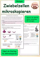 Vorschau - Arbeitsblätter - Mikroskopische Präparate der Zwiebelzelle anfertigen - Deckblatt