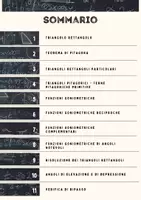 anteprima - Esercizi - FUNZIONI GONIOMETRICHE - Guida ai triangoli rettangoli, alle funzioni goniometriche e agli angoli di elevazione e depressione - Pagina 1