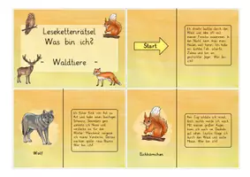 Vorschau - Spiele - Waldtiere: Lesekettenrätsel "Was bin ich?" (Klassenspiel) - Sachunterricht - Kl. 3/4 - Seite 2