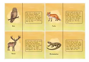 Vorschau - Spiele - Waldtiere: Lesekettenrätsel "Was bin ich?" (Klassenspiel) - Sachunterricht - Kl. 3/4 - Seite 3