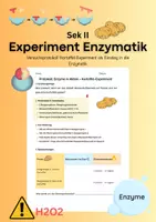 Vorschau - Experimente - Kartoffel Experiment Enzymatik - Deckblatt