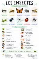 Vorschau - Poster - les insectes - Wortschatz Insekten mit typischen Ausdrücken - Deckblatt