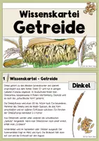 Vorschau - Arbeitsblätter - Vom Korn zum Brot - Komplettpaket - Seite 2