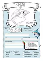 Vorschau - Arbeitsblätter - Besondere Tiere – Qualle, Gürteltier & Co. – 7 Steckbriefe & Infotexte (Kl. 2–4) - Seite 3