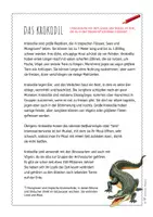 Vorschau - Arbeitsblätter - Krokodil – Steckbrief & Infotext (Kl. 2–4) - Seite 3