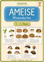 Vorschau - Merkblätter - Ameise Wissenskarten – 1.–4. Klasse 🐜🔍 - Deckblatt