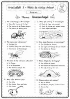 Vorschau - Arbeitsblätter - Ameise Arbeitsblätter – 2. Klasse 🐜✏️ - Seite 3