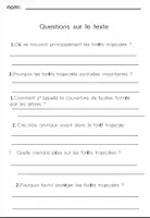 Aperçu - Feuilles d'exercices - La forêt tropicaleCompréhension de Lecture - Page 2