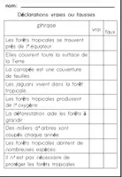 Aperçu - Feuilles d'exercices - La forêt tropicaleCompréhension de Lecture - Page 3