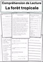 Aperçu - Feuilles d'exercices - La forêt tropicaleCompréhension de Lecture - Page de couverture