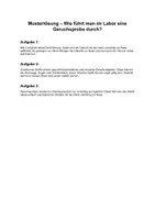 Vorschau - Stundenentwürfe - Stoffeigenschaften: Geruch - Seite 3