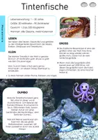 Vorschau - Arbeitsblätter - Kraken & Tintenfische | Sachtext, Arbeitsblatt, Stolperwortgeschichte mit Lösung - Klasse 3 - Seite 2