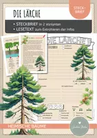 Vorschau - Arbeitsblätter - Steckbrief LÄRCHE plus Lesetext und Wurzeltypen - Deckblatt