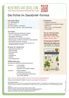 Vorschau - Arbeitsblätter - Steckbrief FICHTE plus Lesetext und Wurzeltypen - Seite 1
