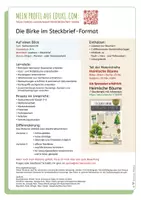 Vorschau - Arbeitsblätter - Heimische Bäume – 7 Steckbriefe & Infotexte (Kl. 2–4) - Seite 2