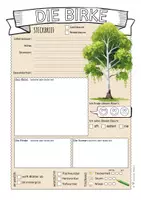 Vorschau - Arbeitsblätter - Heimische Bäume – 7 Steckbriefe & Infotexte (Kl. 2–4) - Seite 3
