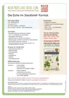 Vorschau - Arbeitsblätter - Steckbrief EICHE plus Lesetext und Wurzeltypen - Seite 1