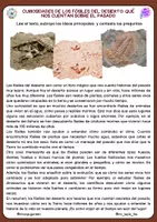 Vista previa - Unidades / Secuencias / Situaciones de Aprendizaje - Curiosidades del Desierto (26 Textos Informativos) - página 2