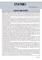 Vorschau - Arbeitsblätter - Zukunftsträume - Stationenarbeit - Seite 3