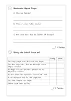 Vorschau - Arbeitsblätter - Körper & Organe: XXL Sparpaket (Spiele, Rätsel & Werkstatt) - Sachunterricht - Kl. 3/4 - Seite 2
