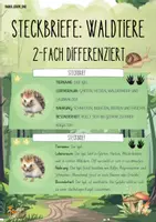 Vorschau - Präsentationen/Tafelbilder - Waldtiere - Differenzierte Steckbriefe - Deckblatt