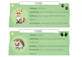 Vorschau - Präsentationen/Tafelbilder - Waldtiere - Differenzierte Steckbriefe - Seite 1