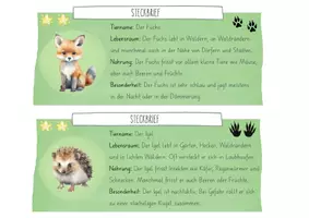 Vorschau - Präsentationen/Tafelbilder - Waldtiere - Differenzierte Steckbriefe - Seite 2