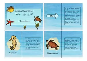 Vorschau - Spiele - Meerestiere & Ozean: Lesekettenrätsel "Wer bin ich?" (Klassenspiel) - Sachunterricht - Kl. 3/4 - Seite 2