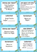 Vorschau - Quiz - Amphibien und Reptilien – 24 Quizkarten | Quiz | Tiere & Biologie - Seite 3