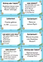 Vorschau - Arbeitsblätter - Amphibien und Reptilien – Materialpaket | Wissenskartei, Lückentext & Quizkarten - Seite 2
