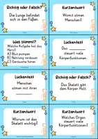 Vorschau - Quiz - Anatomie Mensch – 24 Quizkarten | Quiz | Biologie & Körperbau - Seite 2